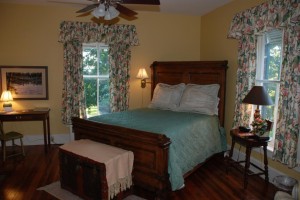 DSC_0131